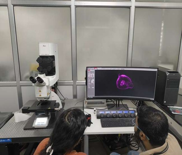 Confocal Microscope